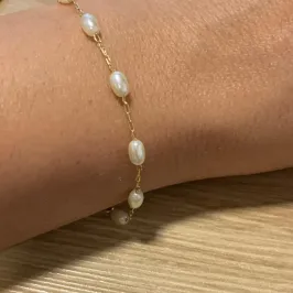 PULSEIRA MARIA LAURA INF GRAO DE ARROZ